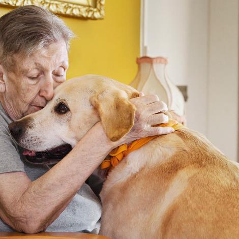 Ældre beboer i lænestol krammer besøgshund