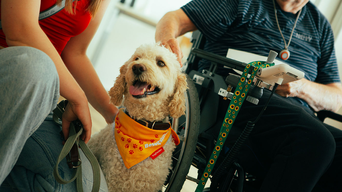 Besøgshunden Eddie sidder mellem sin ejer og en beboer i kørestol, som begge klapper ham.