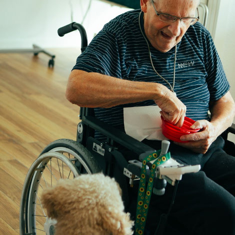 Mand i kørestol finder godbid til besøgshund