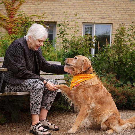 Hund sitter og giver pote til kvinde på bænk