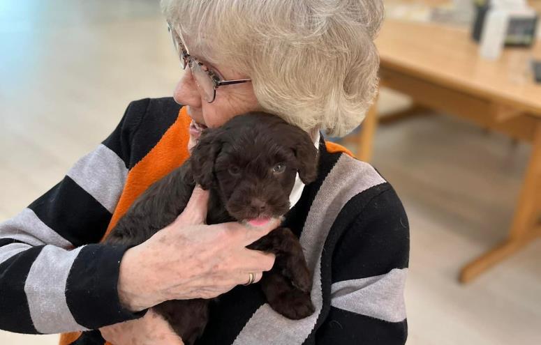 Friplejehjemmet Hesselvang