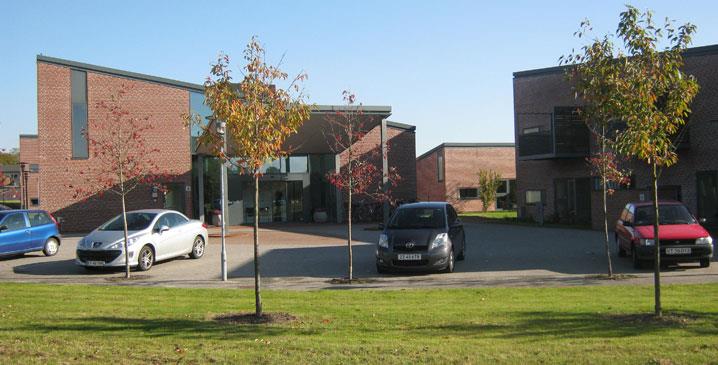 Kirsebærhaven