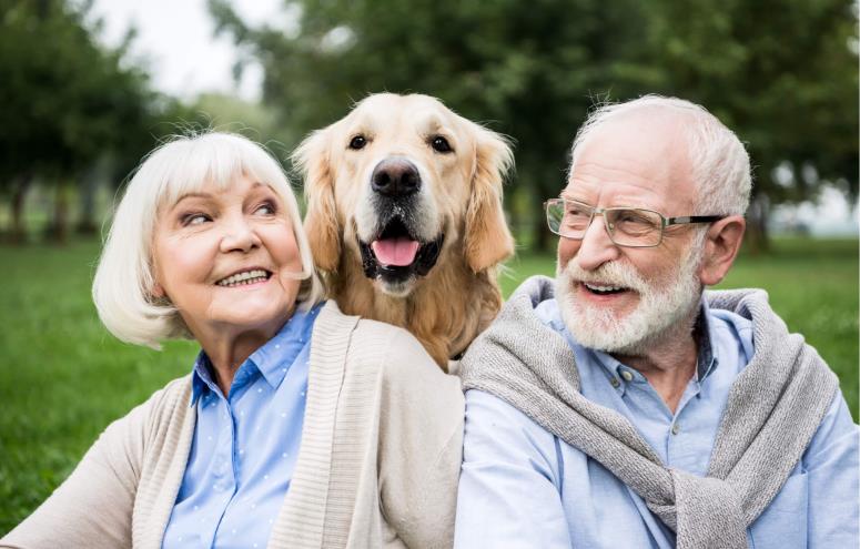 Kastaniely Plejecenter