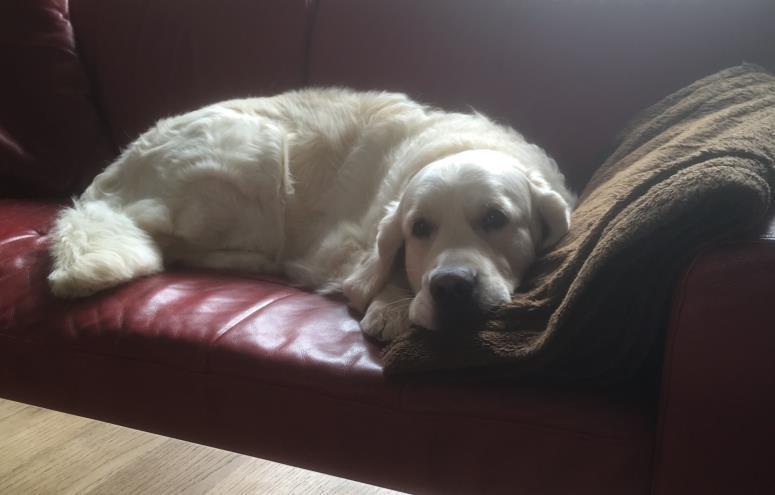 Charlie