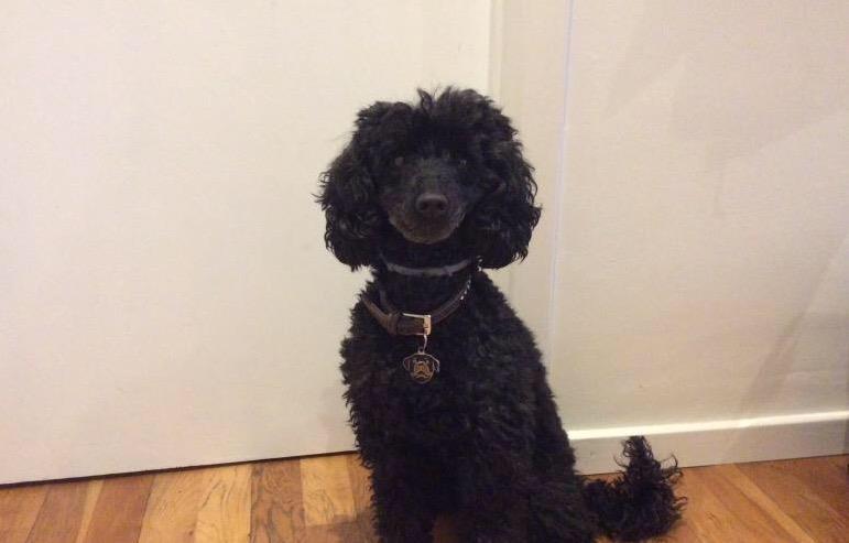 Bella