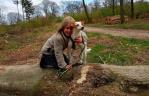 Dora