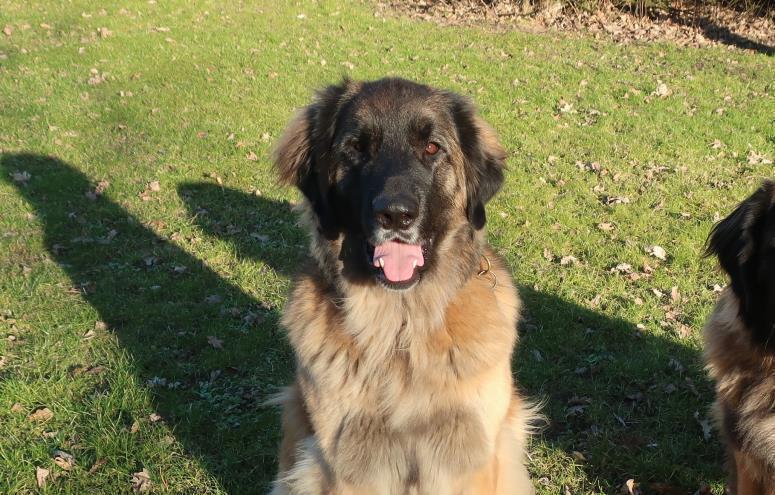 Arne og Brit Petersen