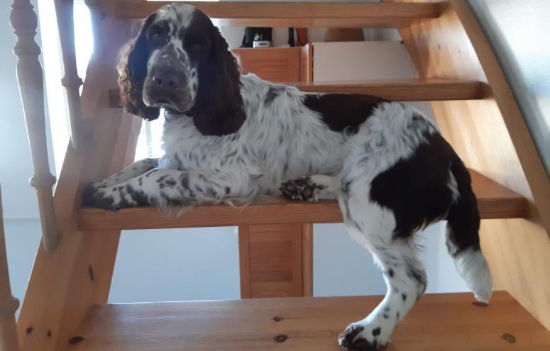 Freja