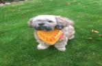 Bubber