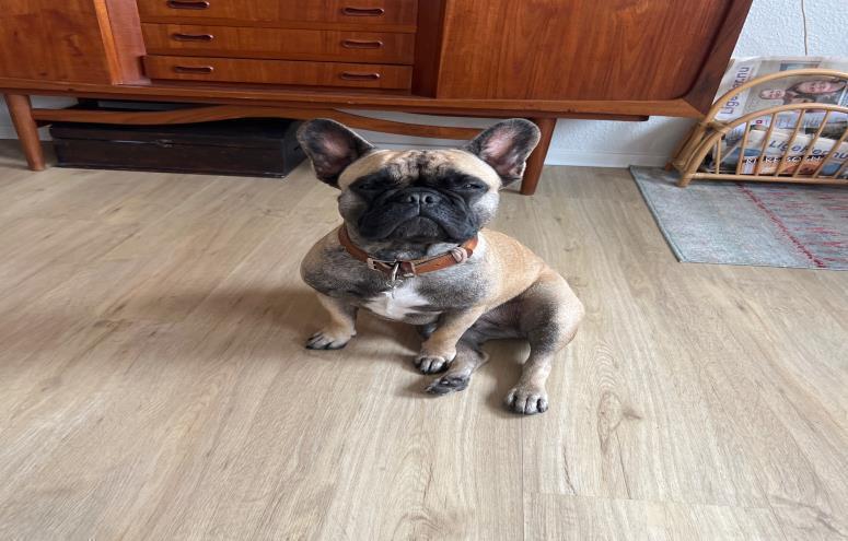 Mette  Myrup Heesgaard