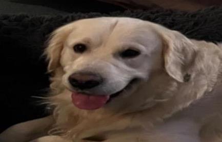 Charlie