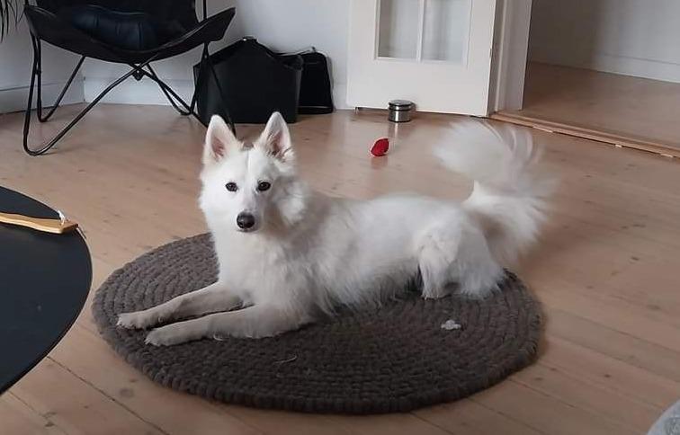 Luna