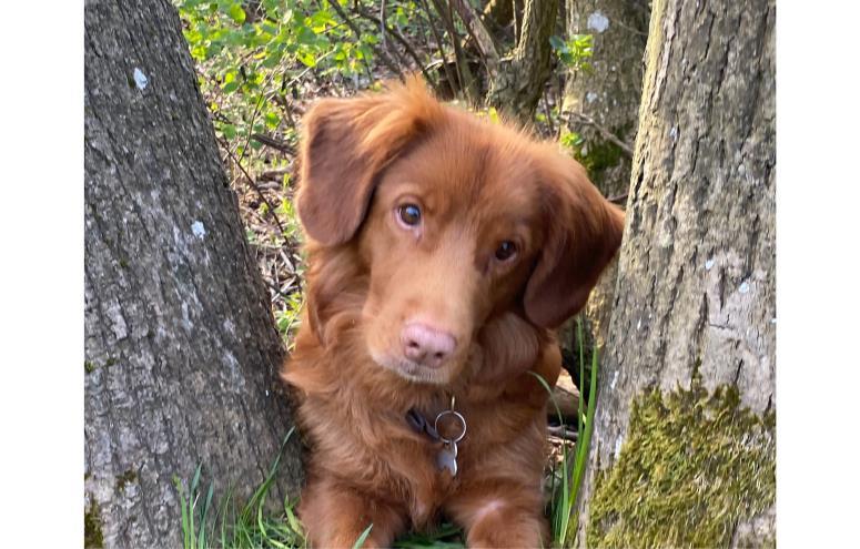 Chloe
