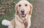 Maggie