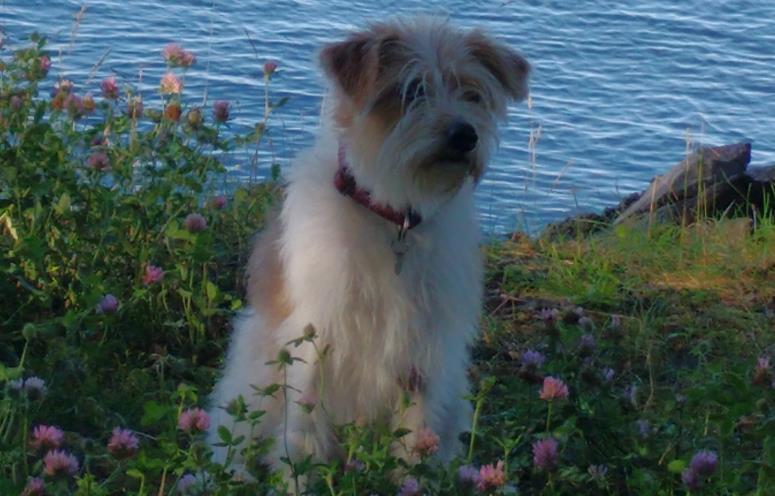 Frida