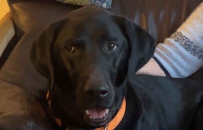 Max