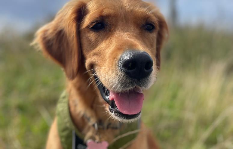 Wilma