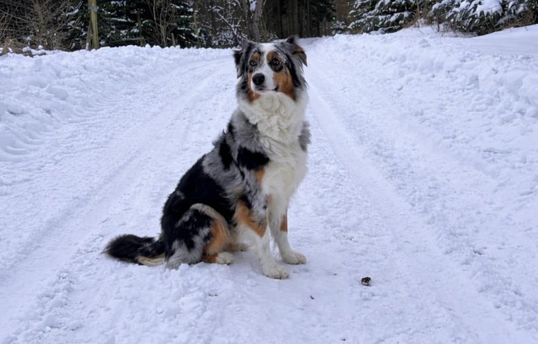 Ronja
