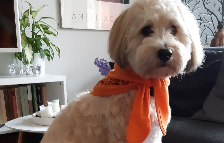 Nanna Skovgård Andersen