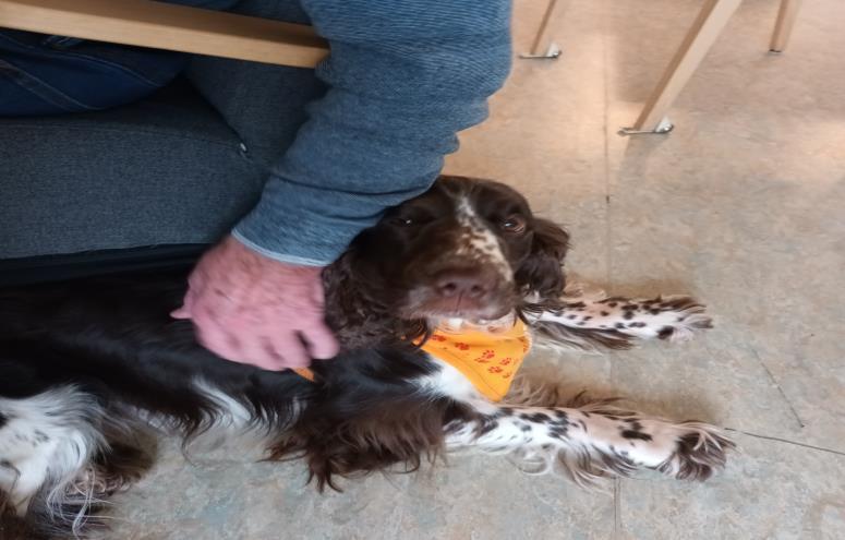 Liselotte  Schirakow 