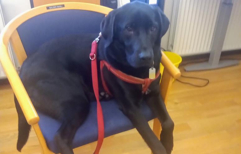 Magdalena Karolina S. Hauvre