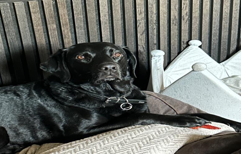 Pia Højland  Hesmark