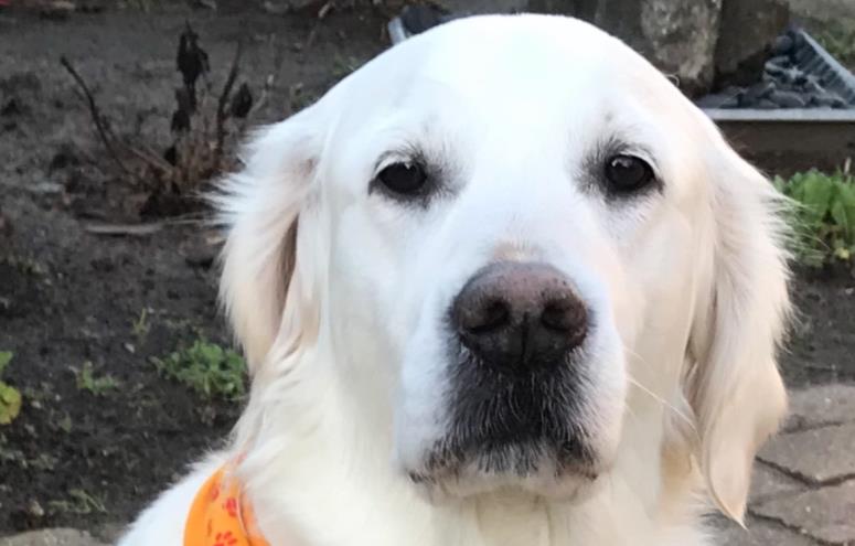 Jette Ramsdahl Hansen